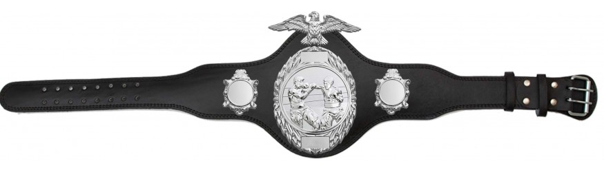 BOXING TITLE BELT - PLT288/S/BOXS - AVAILABLE IN 4 COLOURS BOXING TITLE BELT - PLT288/S/BOXS - AVAILABLE IN 4 COLOURS